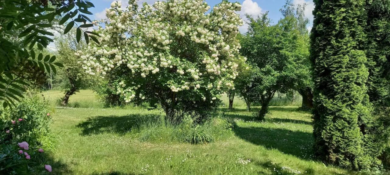Dom Goscinny Lerka - 240 M2 Mazury Jeziora Lasy Lakorz 外观 照片