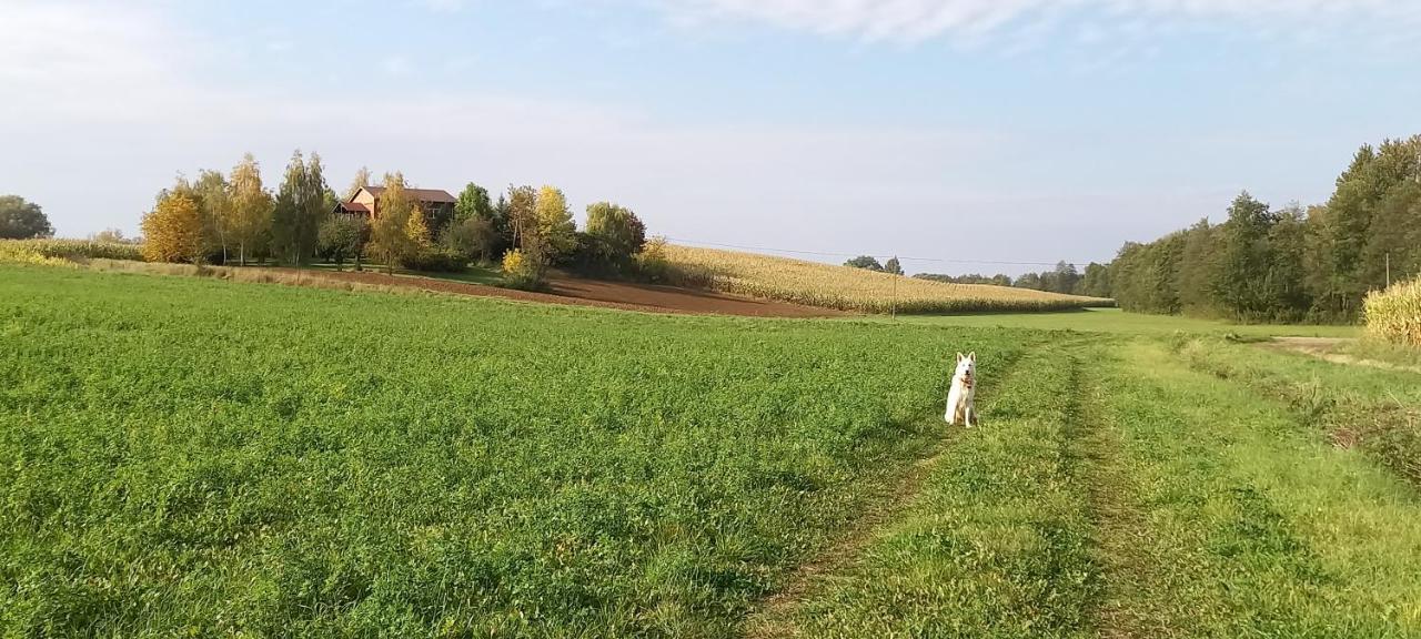 Dom Goscinny Lerka - 240 M2 Mazury Jeziora Lasy Lakorz 外观 照片