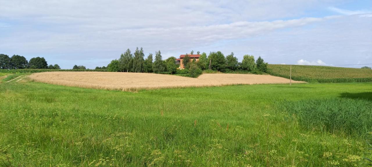 Dom Goscinny Lerka - 240 M2 Mazury Jeziora Lasy Lakorz 外观 照片