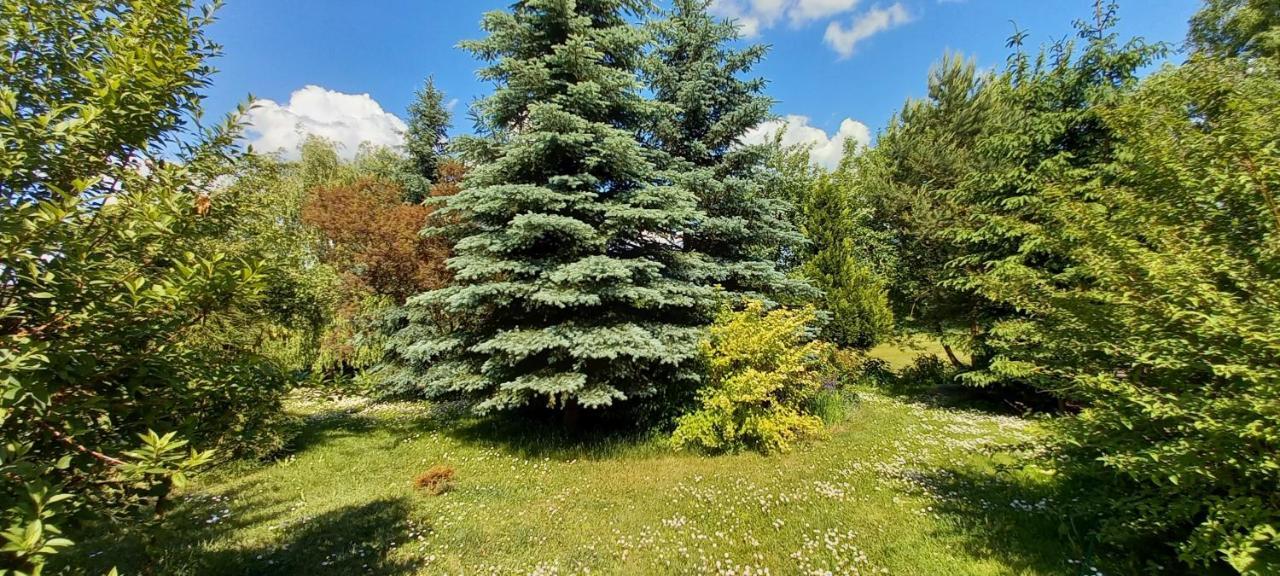 Dom Goscinny Lerka - 240 M2 Mazury Jeziora Lasy Lakorz 外观 照片