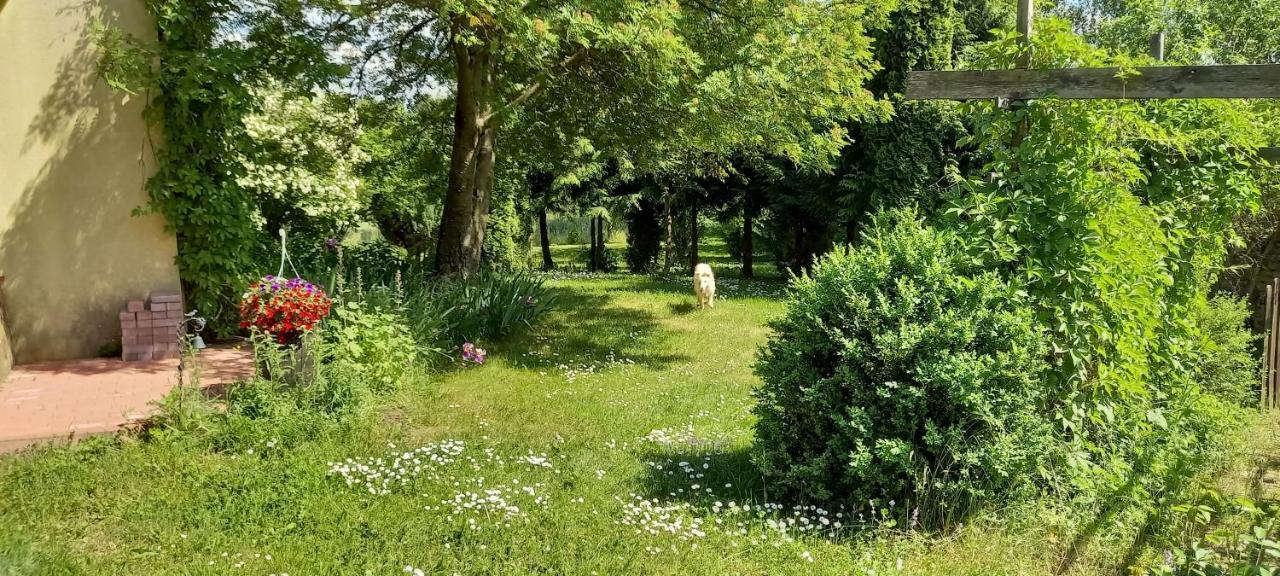 Dom Goscinny Lerka - 240 M2 Mazury Jeziora Lasy Lakorz 外观 照片